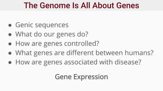 The Genome Is All About Genes
● Genic sequences
● What do our genes do?
● How are genes controlled?
● What genes are different between humans?
● How are genes associated with disease?
Gene Expression
 