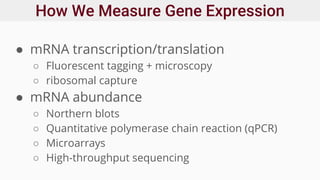 How We Measure Gene Expression
● mRNA transcription/translation
○ Fluorescent tagging + microscopy
○ ribosomal capture
● mRNA abundance
○ Northern blots
○ Quantitative polymerase chain reaction (qPCR)
○ Microarrays
○ High-throughput sequencing
 