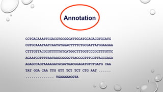 7
CCTGACAAATTCGACGTGCGGCATTGCATGCAGACGTGCATG
CGTGCAAATAATCAATGTGGACTTTTCTGCGATTATGGAAGAA
CTTTGTTACGCGTTTTTGTCATGGCTTTGGTCCCGCTTTGTTC
AGAATGCTTTTAATAAGCGGGGTTACCGGTTTGGTTAGCGAGA
AGAGCCAGTAAAAGACGCAGTGACGGAGATGTCTGATG CAA
TAT GGA CAA TTG GTT TCT TCT CTG AAT ......
.............. TGAAAAACGTA
Annotation
 