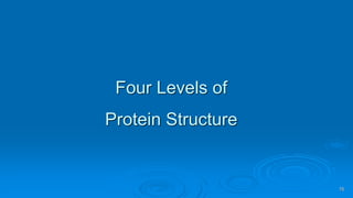 Four Levels of
Protein Structure
75
 