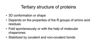 Tertiary structure of proteins
• 3D conformation or shape
• Depends on the properties of the R groups of amino acid
residues
• Fold spontaneously or with the help of molecular
chaperones
• Stabilized by covalent and non-covalent bonds
 