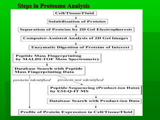 Steps in Proteome AnalysisSteps in Proteome Analysis
 