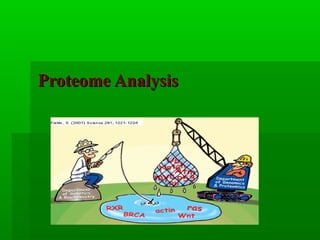 Proteome AnalysisProteome Analysis
 
