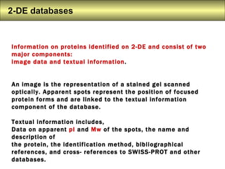 2-DE databases   Information on proteins identified on 2-DE and consist of two major components:  image data and textual information .  An image is the representation of a stained gel scanned optically. Apparent spots represent the position of focused protein forms and are linked to the textual information component of the database.  Textual information includes,  Data on apparent  pI  and  Mw  of the spots, the name and description of  the protein, the identification method, bibliographical references, and cross- references to SWISS-PROT and other databases.  