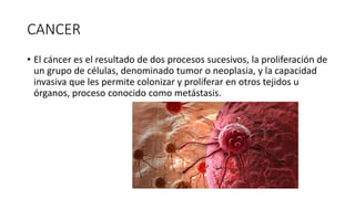 CANCER
• El cáncer es el resultado de dos procesos sucesivos, la proliferación de
un grupo de células, denominado tumor o neoplasia, y la capacidad
invasiva que les permite colonizar y proliferar en otros tejidos u
órganos, proceso conocido como metástasis.
 