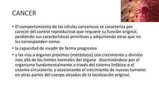 CANCER
• El comportamiento de las células cancerosas se caracteriza por
carecer del control reproductivo que requiere su función original,
perdiendo sus características primitivas y adquiriendo otras que no
les corresponden como:
• la capacidad de invadir de forma progresiva
• y las vías a órganos próximos (metástasis) con crecimiento y división
más allá de los límites normales del órgano diseminándose por el
organismo fundamentalmente a través del sistema linfático o el
sistema circulatorio, y ocasionando el crecimiento de nuevos tumores
en otras partes del cuerpo alejadas de la localización original.
 