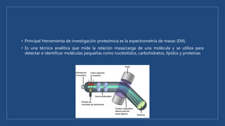 • Principal Herramienta de investigación proteómica es la espectrometría de masas (EM).
• Es una técnica analítica que mide la relación masa/carga de una molécula y se utiliza para
detectar e identificar moléculas pequeñas como nucleótidos, carbohidratos, lípidos y proteínas.
 