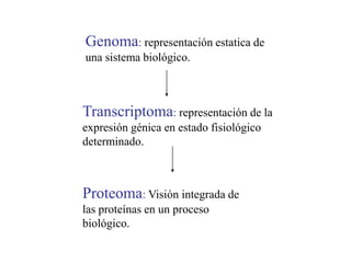Genoma: representación estatica de
una sistema biológico.
Transcriptoma: representación de la
expresión génica en estado fisiológico
determinado.
Proteoma: Visión integrada de
las proteínas en un proceso
biológico.
 