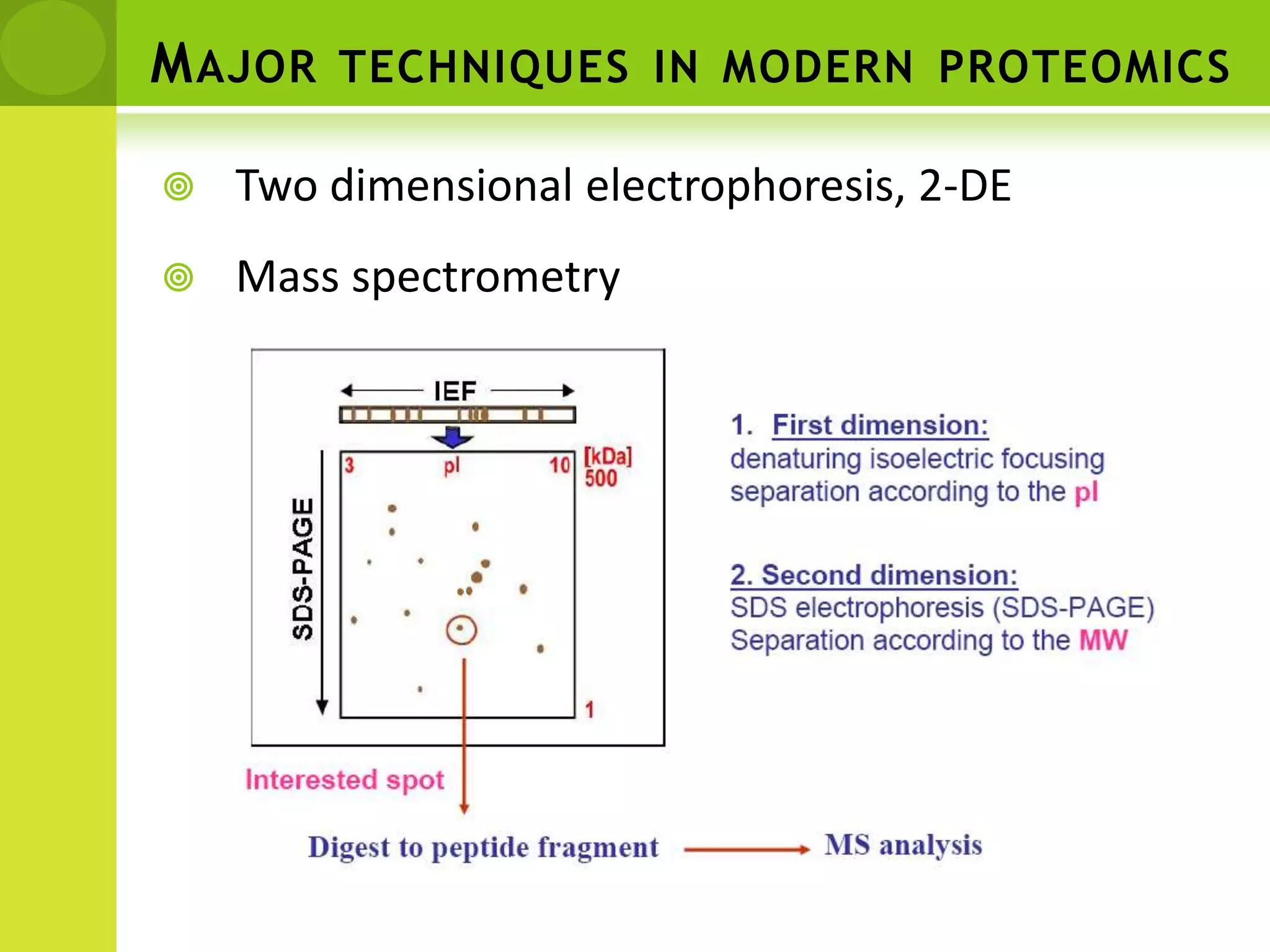 Major techniques in modern proteomics Two dimensional electrophoresis, 2-DE Mass spectrometry