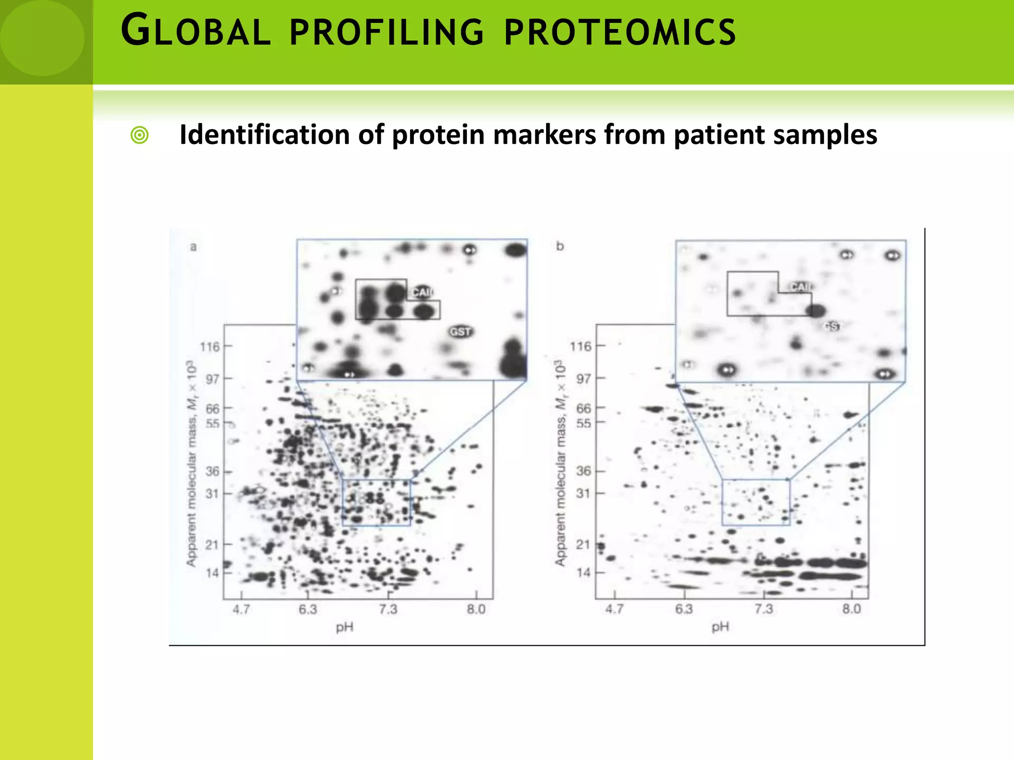 Global profiling proteomicsIdentification of protein markers from patient samples