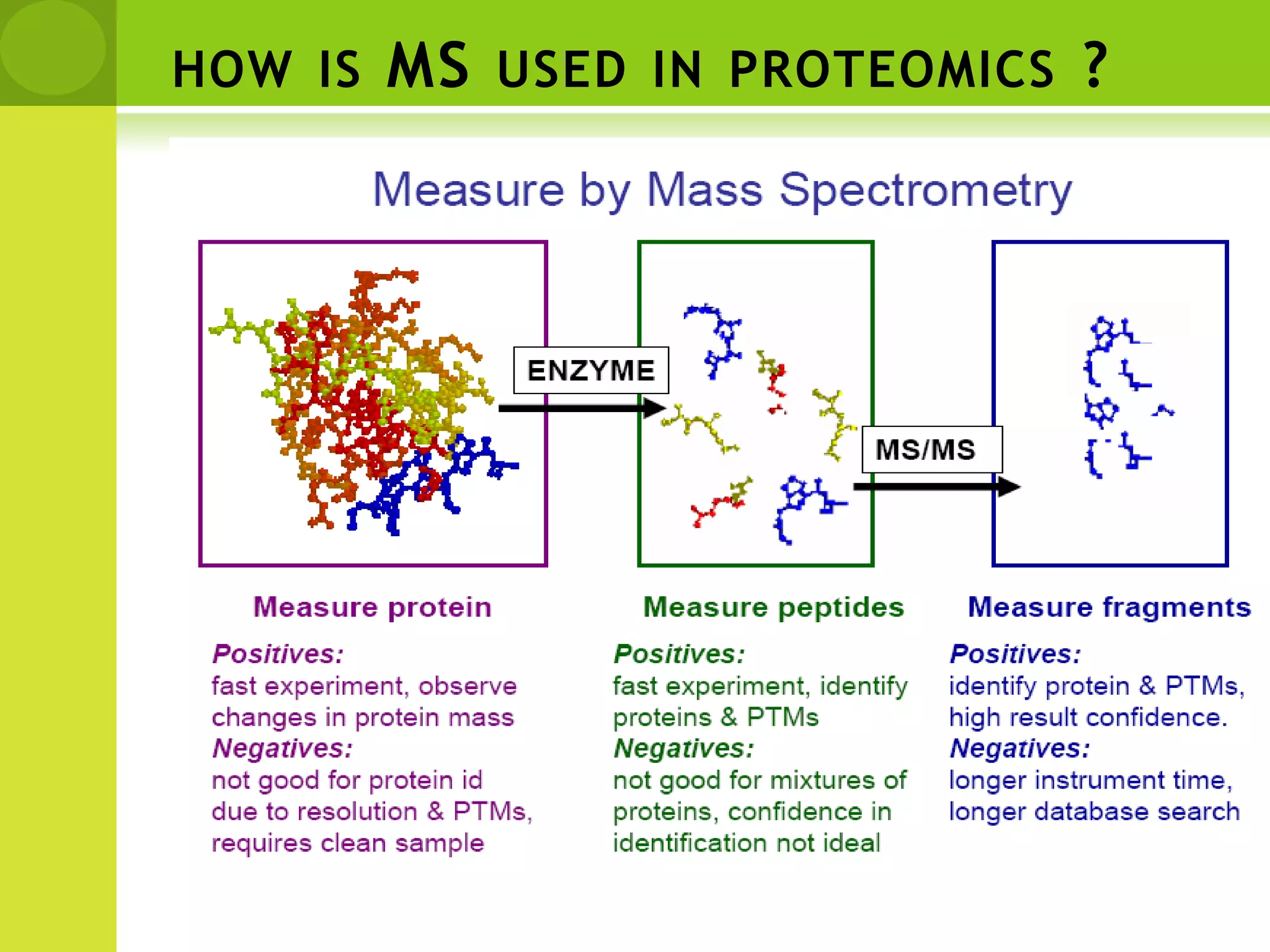 how is MS used in proteomics ?