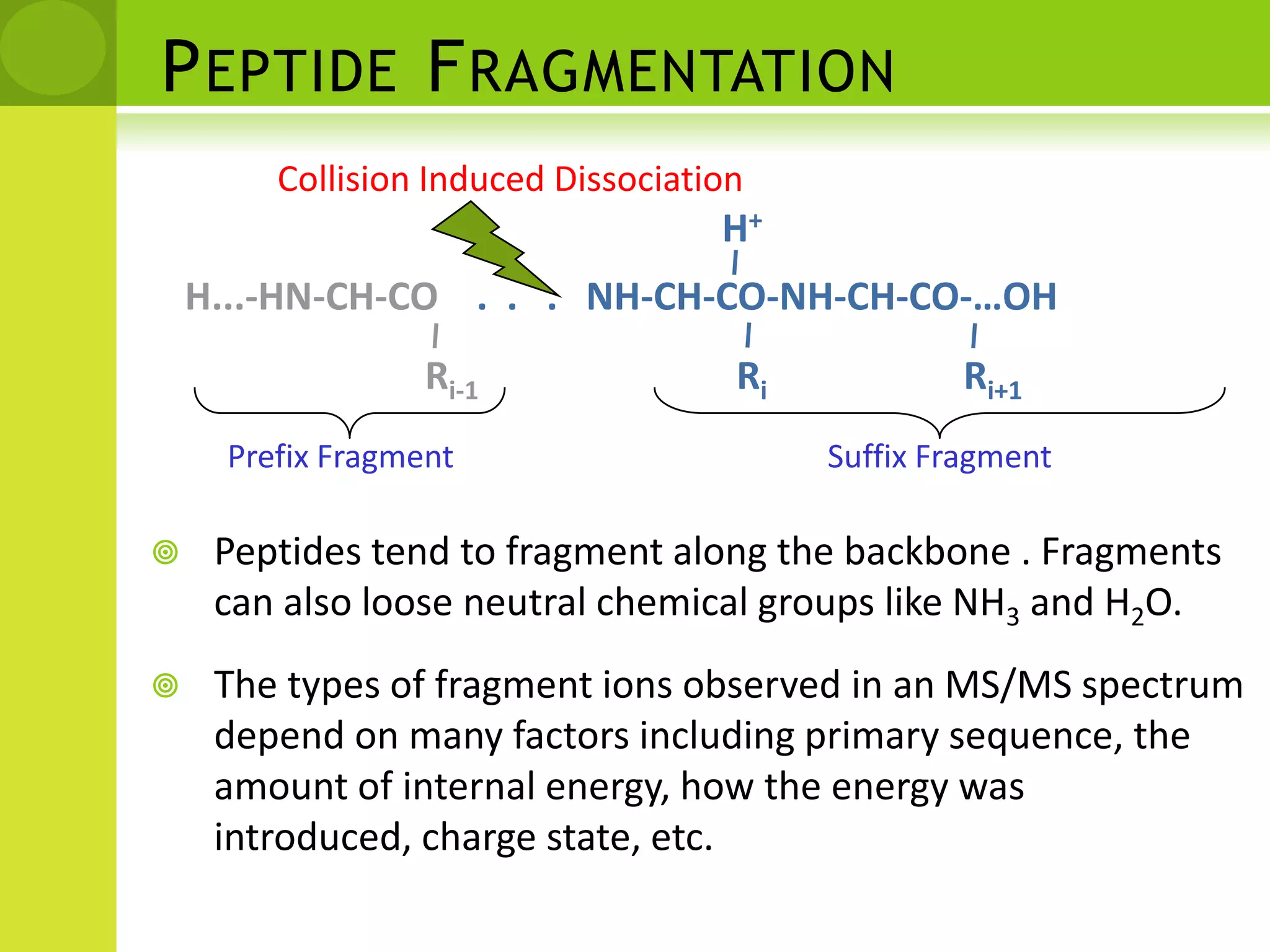 Peptide FragmentationCollision Induced DissociationH+H...-HN-CH-CO   .  .   .NH-CH-CO-NH-CH-CO-…OHRi-1RiRi+1Prefix FragmentSuffix FragmentPeptides tend to fragment along the backbone . Fragments can also loose neutral chemical groups like NH3 and H2O.