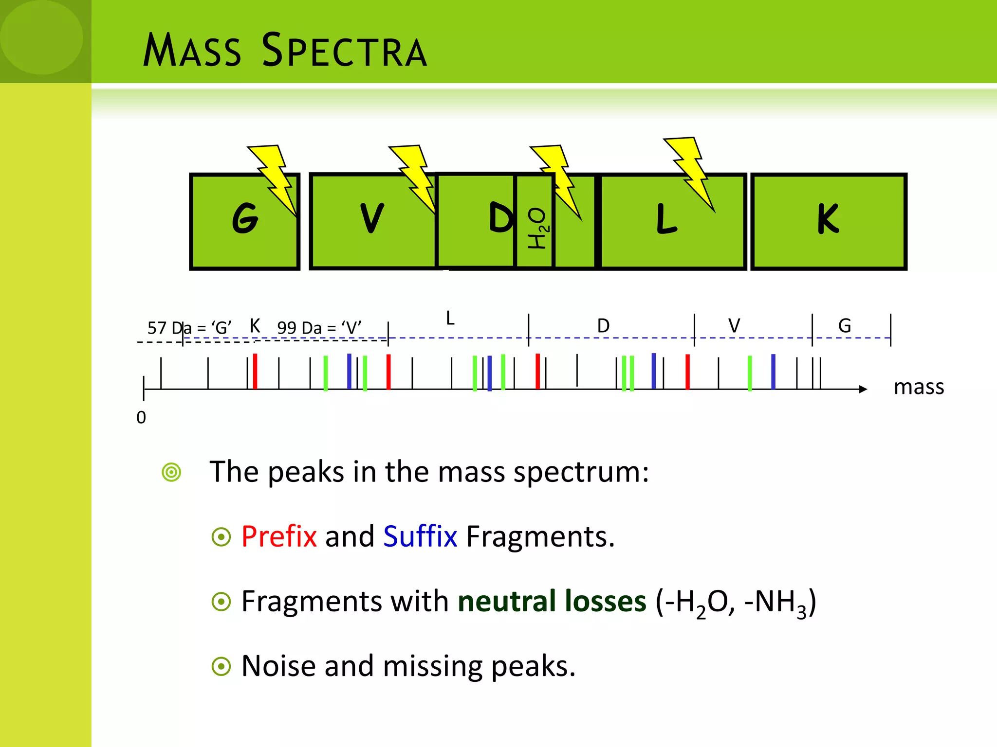 GVDLKL57 Da = ‘G’K  DVG 99 Da = ‘V’H2ODMass Spectramass0The peaks in the mass spectrum: