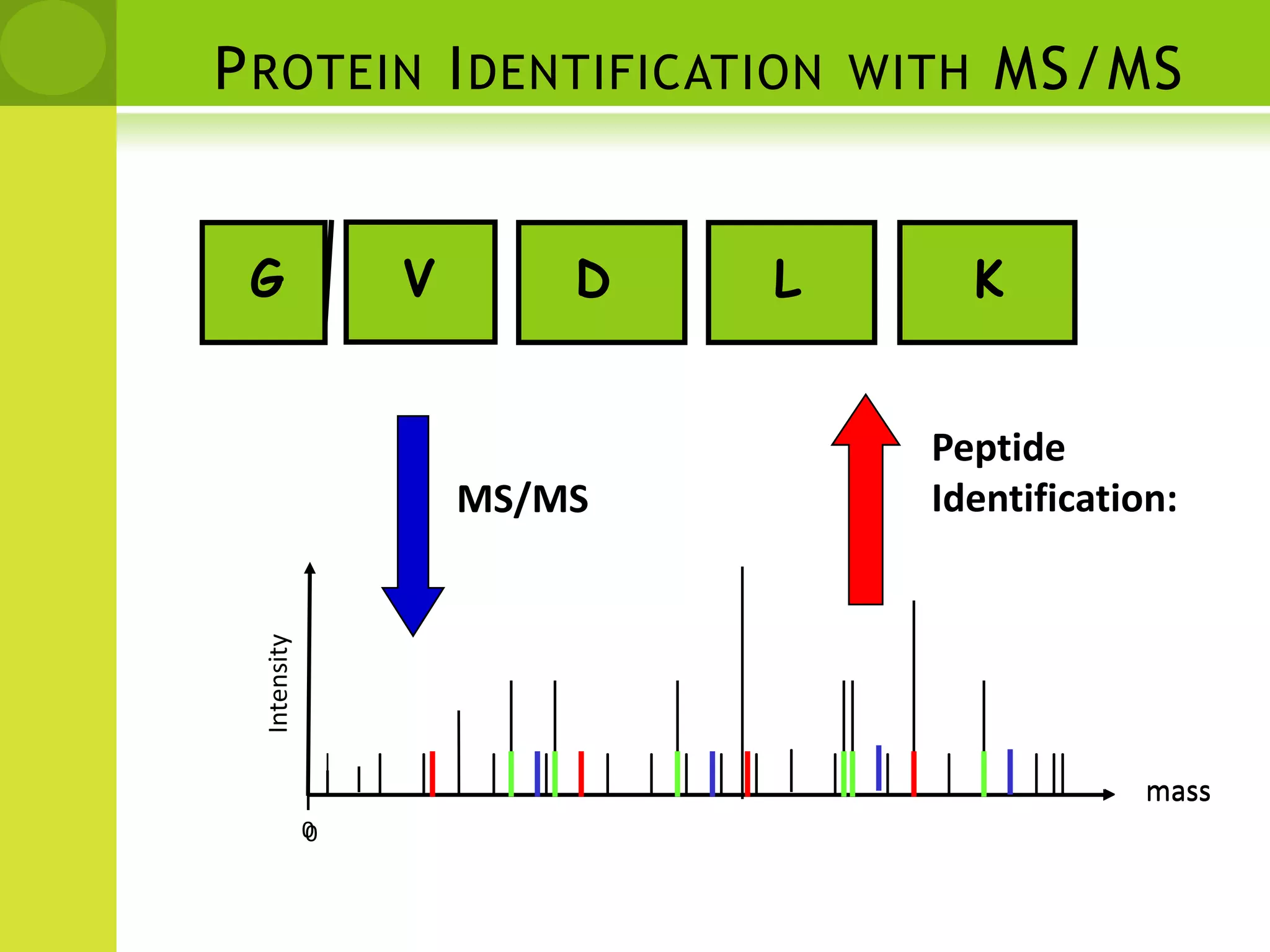 Prefix and Suffix Fragments.