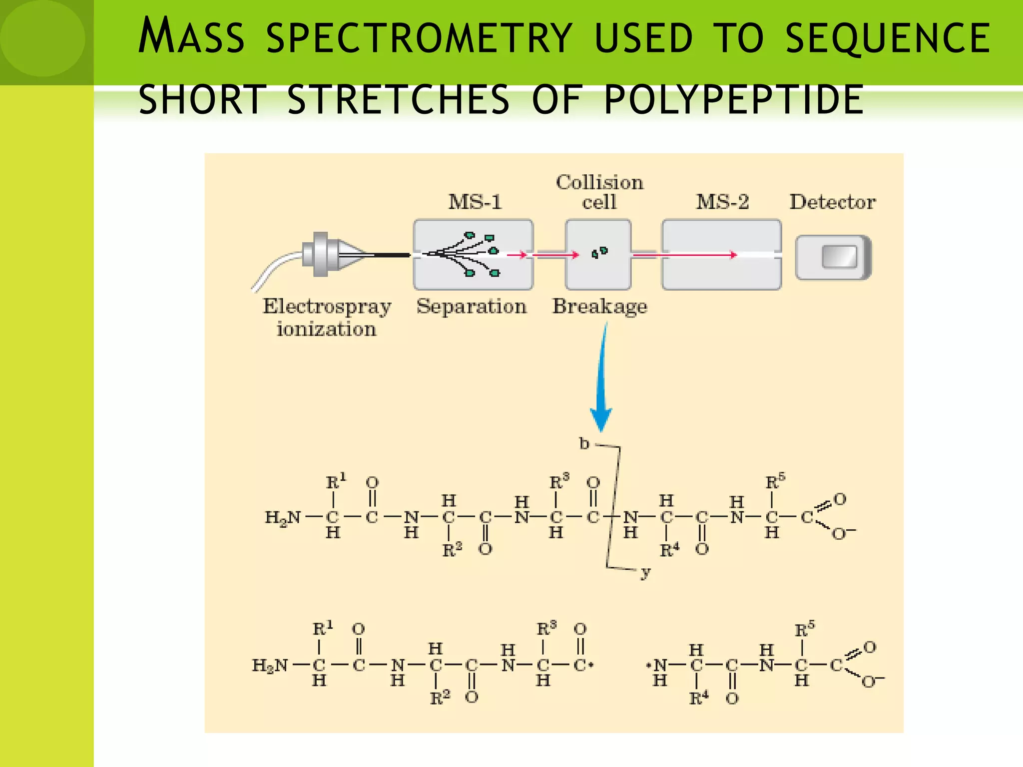 Noise and missing peaks.GVDLKPeptide Identification: IntensitymassMS/MS0mass0Protein Identification with MS/MS