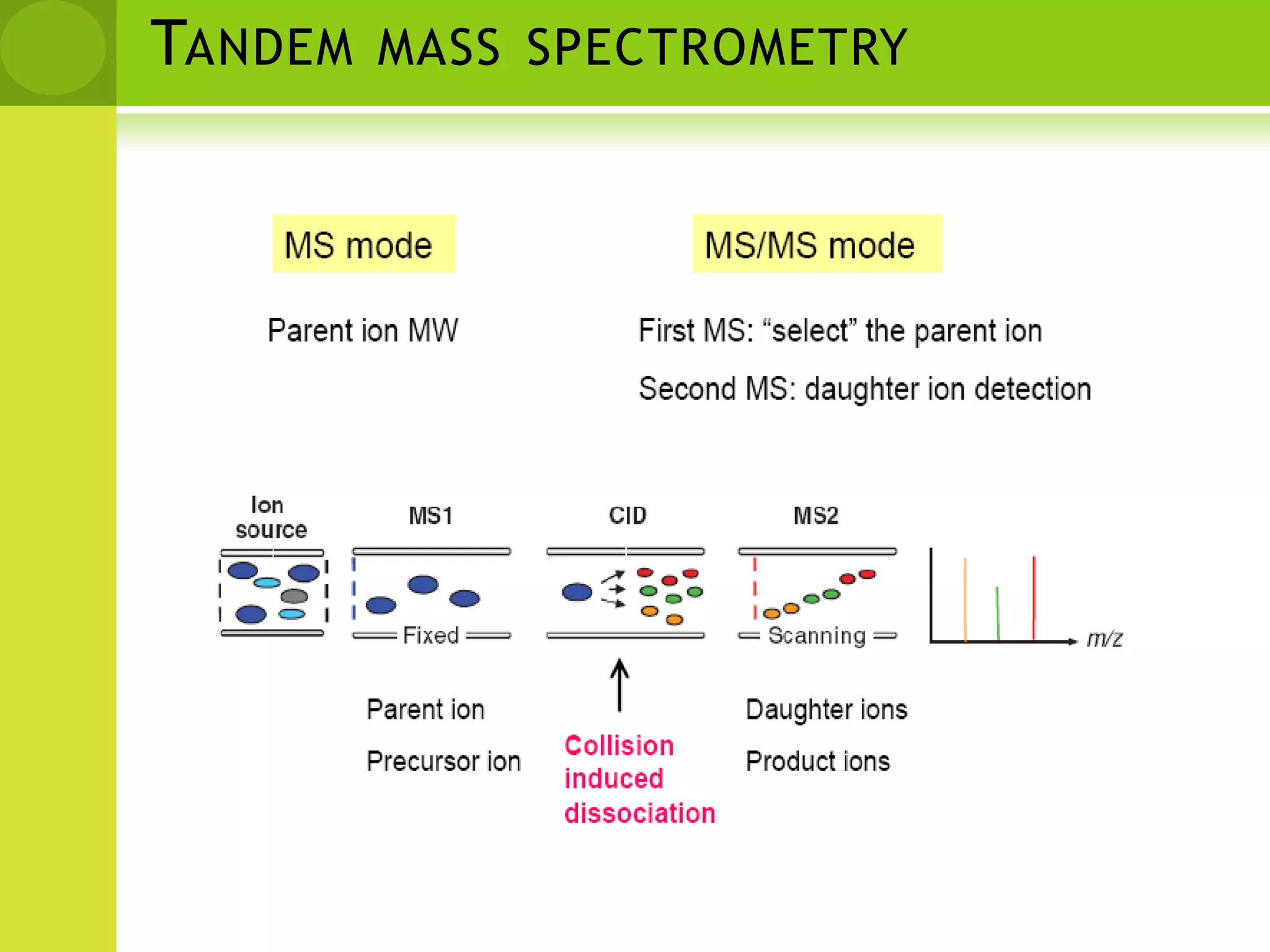  Tandem Mass Spectrometry(MS/MS)Precursor selection30