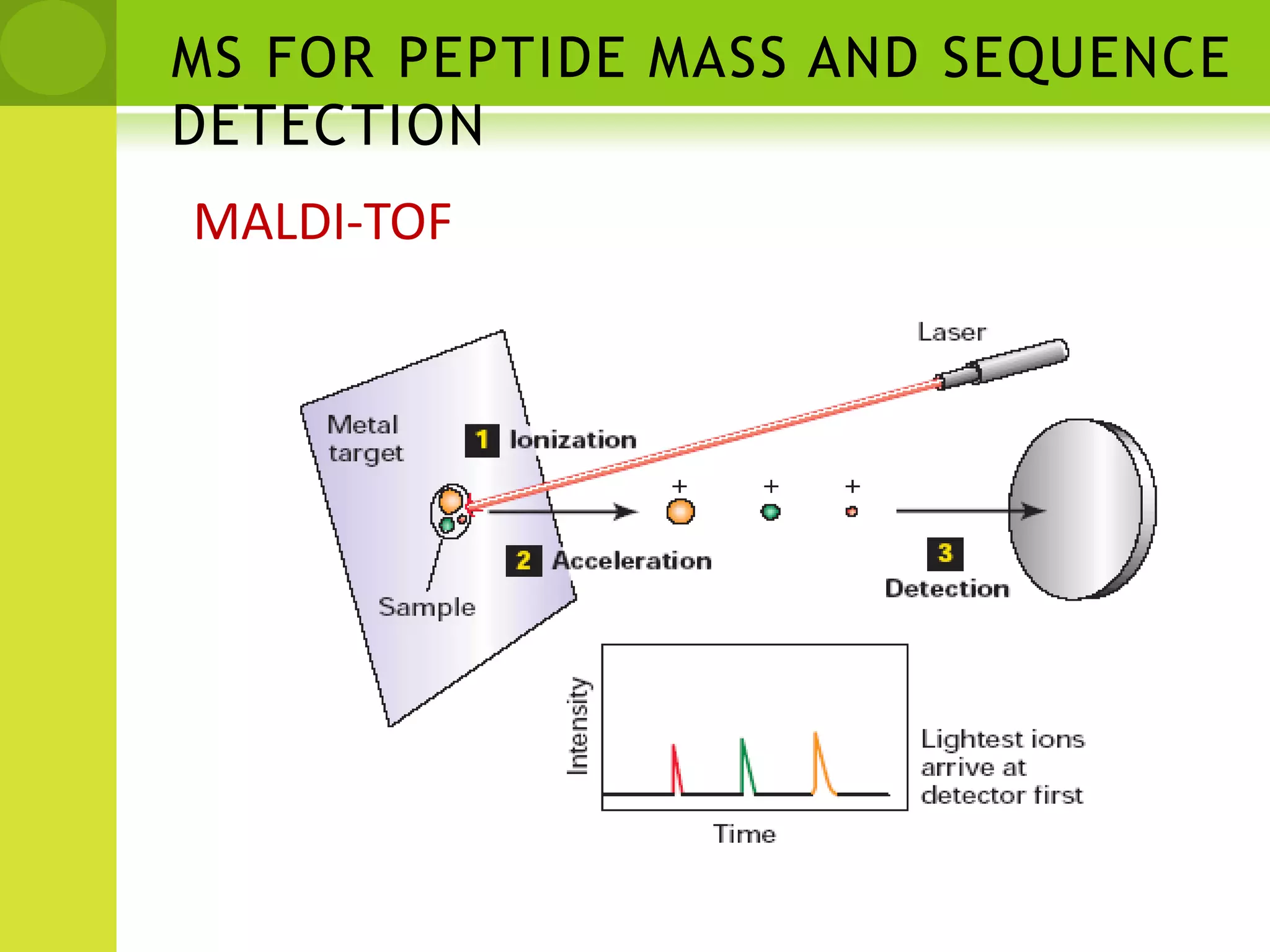  Tandem Mass Spectrometry (MS/MS)Precursor selection + collision induced dissociation(CID)MS/MS