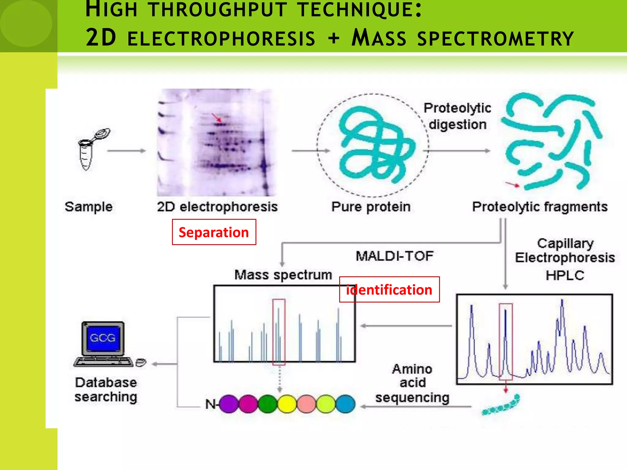 MS FOR PEPTIDE MASS AND SEQUENCE DETECTIONMALDI-TOF