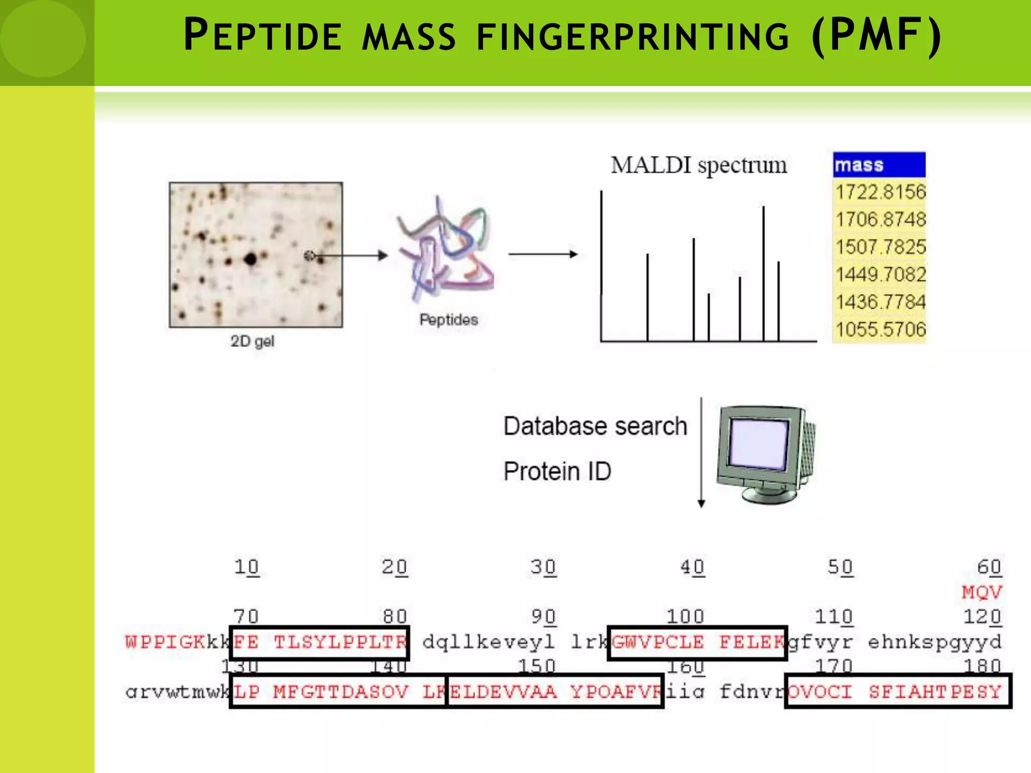 Basic concept for routine protein analysis
