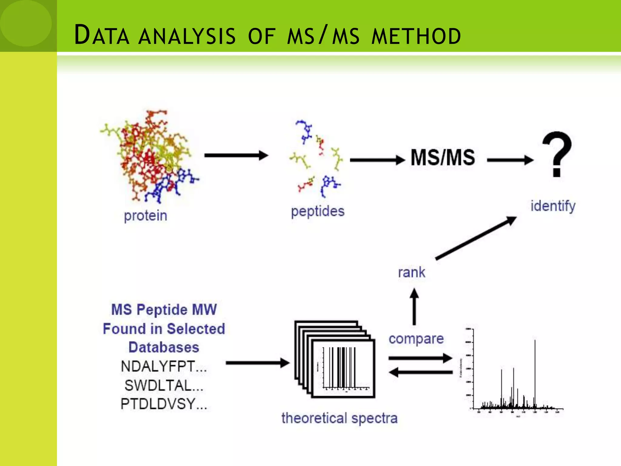    Principles of Fingerprinting*SequenceMass (M+H)Tryptic Fragmentsacedfhsakdfgeasdfpkivtmeeewendadnfekgwfeacekdfhsadfgeasdfpkivtmeeewenkdadnfeqwfeacedfhsadfgekasdfpkivtmeeewendakdnfegwfe>Protein 1acedfhsakdfqeasdfpkivtmeeewendadnfekqwfe>Protein 2acekdfhsadfqeasdfpkivtmeeewenkdadnfeqwfe>Protein 3acedfhsadfqekasdfpkivtmeeewendakdnfeqwfe4842.054842.054842.05