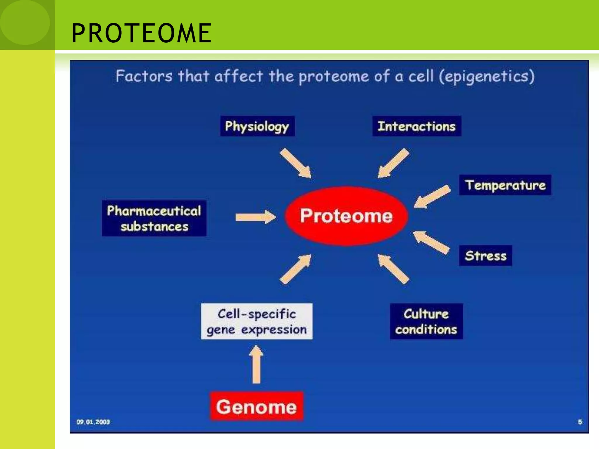 PROTEOME