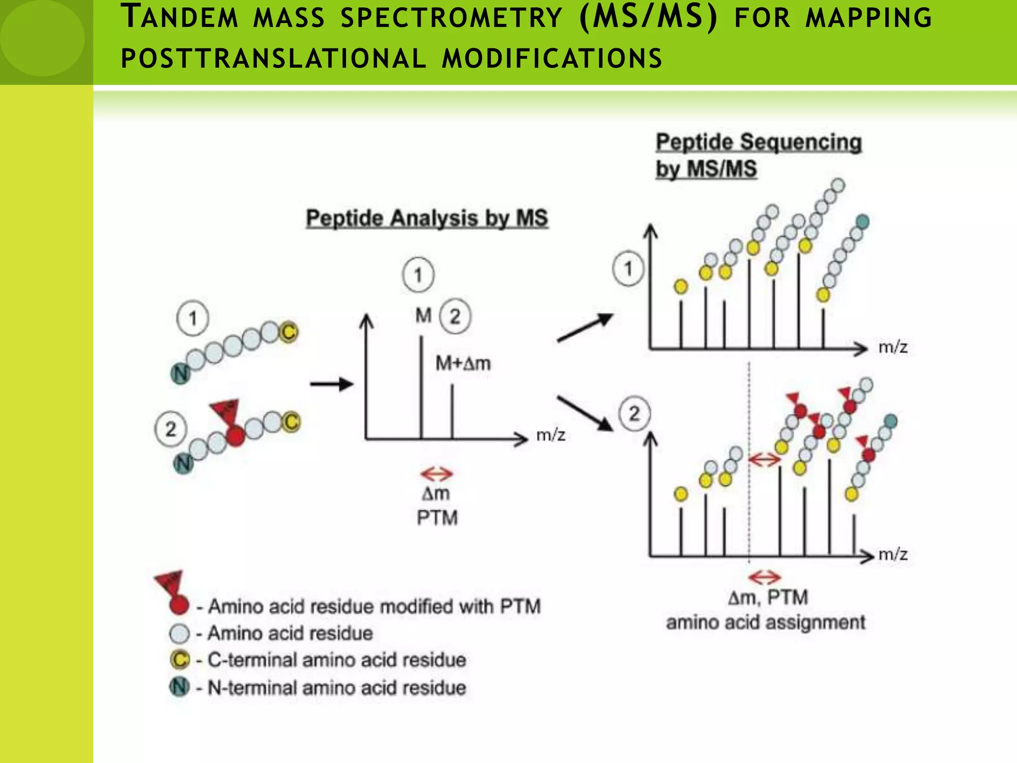 Expression proteomicsSeparation, quantification and identification of large numbers of proteins from biological specimens2D gel electophoresisMass Spec analysis