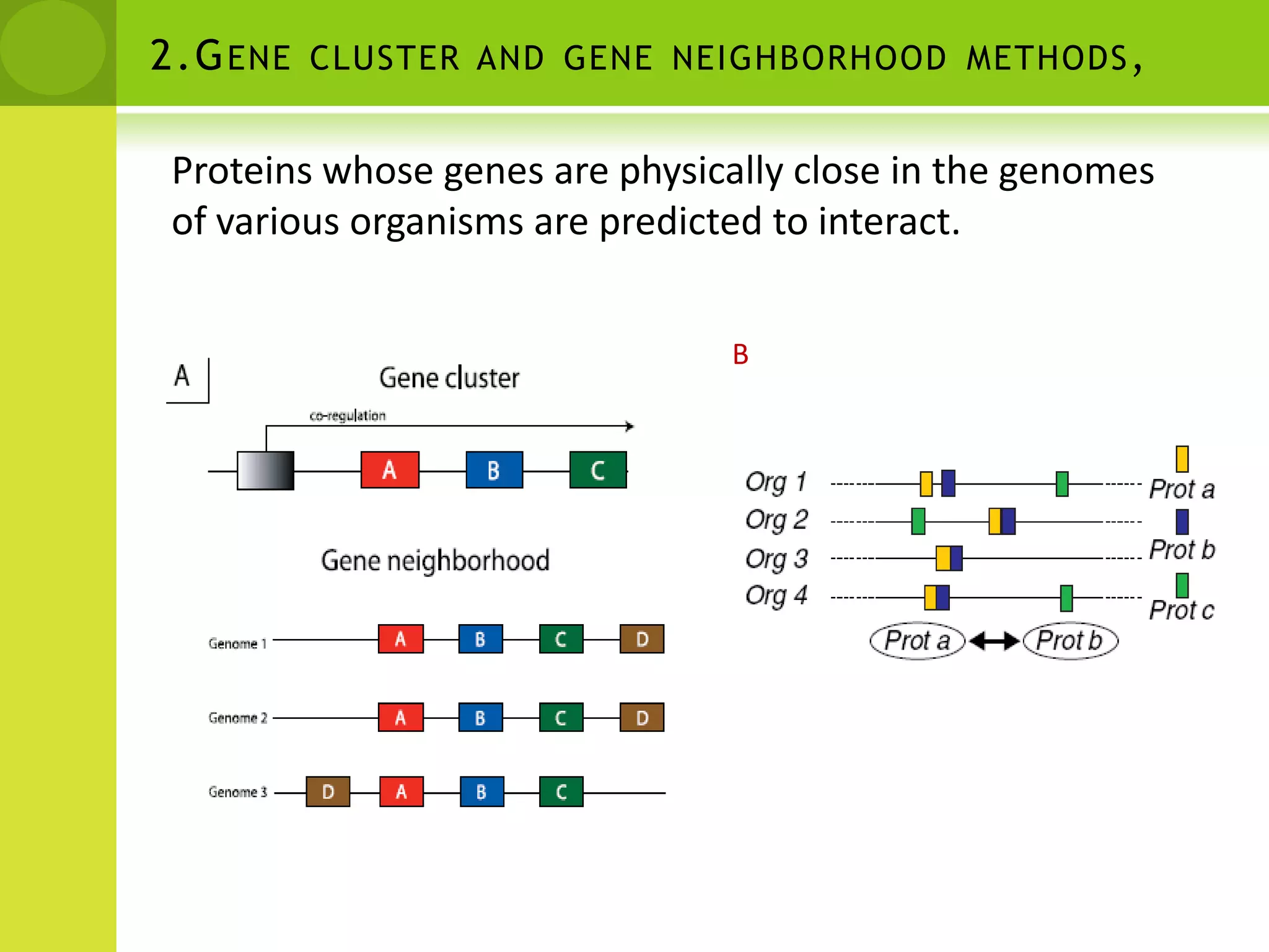 Genomic ContextPhylogenetic profilesConservation of gene neighborhoodGene FusionSimilarity of phylogenetic treesCorrelated mutations