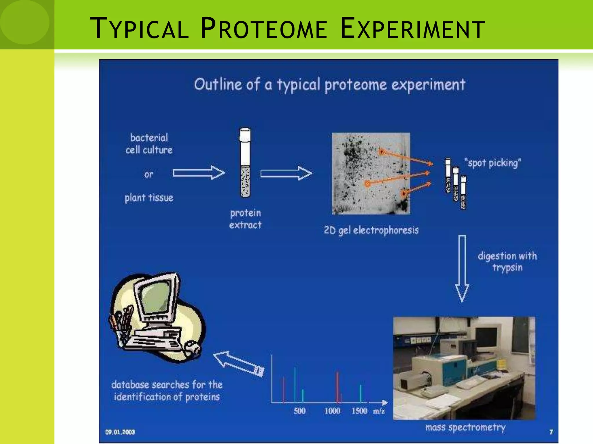 Typical Proteome Experiment