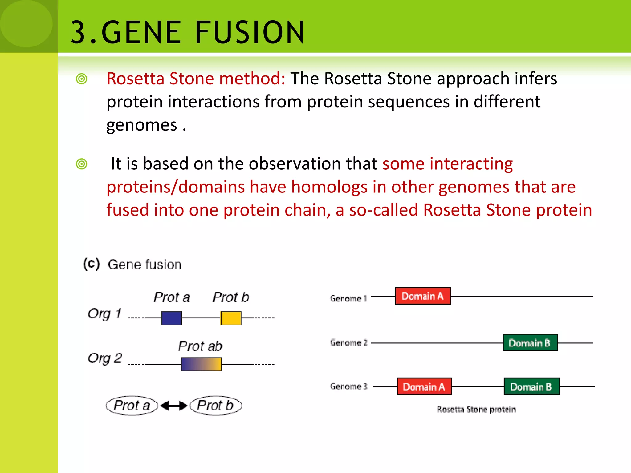 1.Phylogenetic ProfileBased on the pattern of the presence or absence of a given gene in a set of genomesA profile is constructed for each protein (Prot a–Prot d), recording its presence (1) or absence (0) in a set of organismsPairs of proteins with identical (or similar) phylogenetic profiles are predicted to interact (Prot a and Prot c in this case)