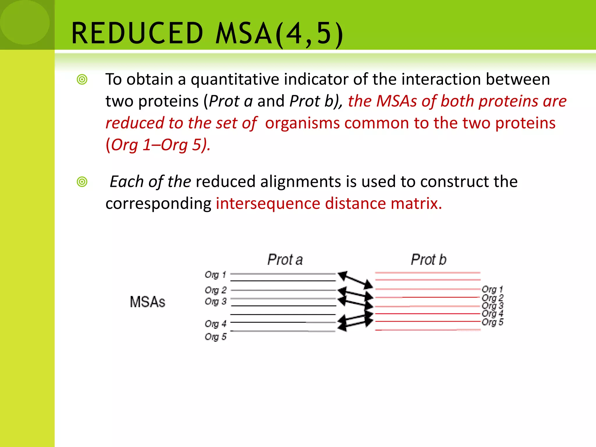 2.Gene cluster and gene neighborhood methods,Proteins whose genes are physically close in the genomes of various organisms are predicted to interact.B