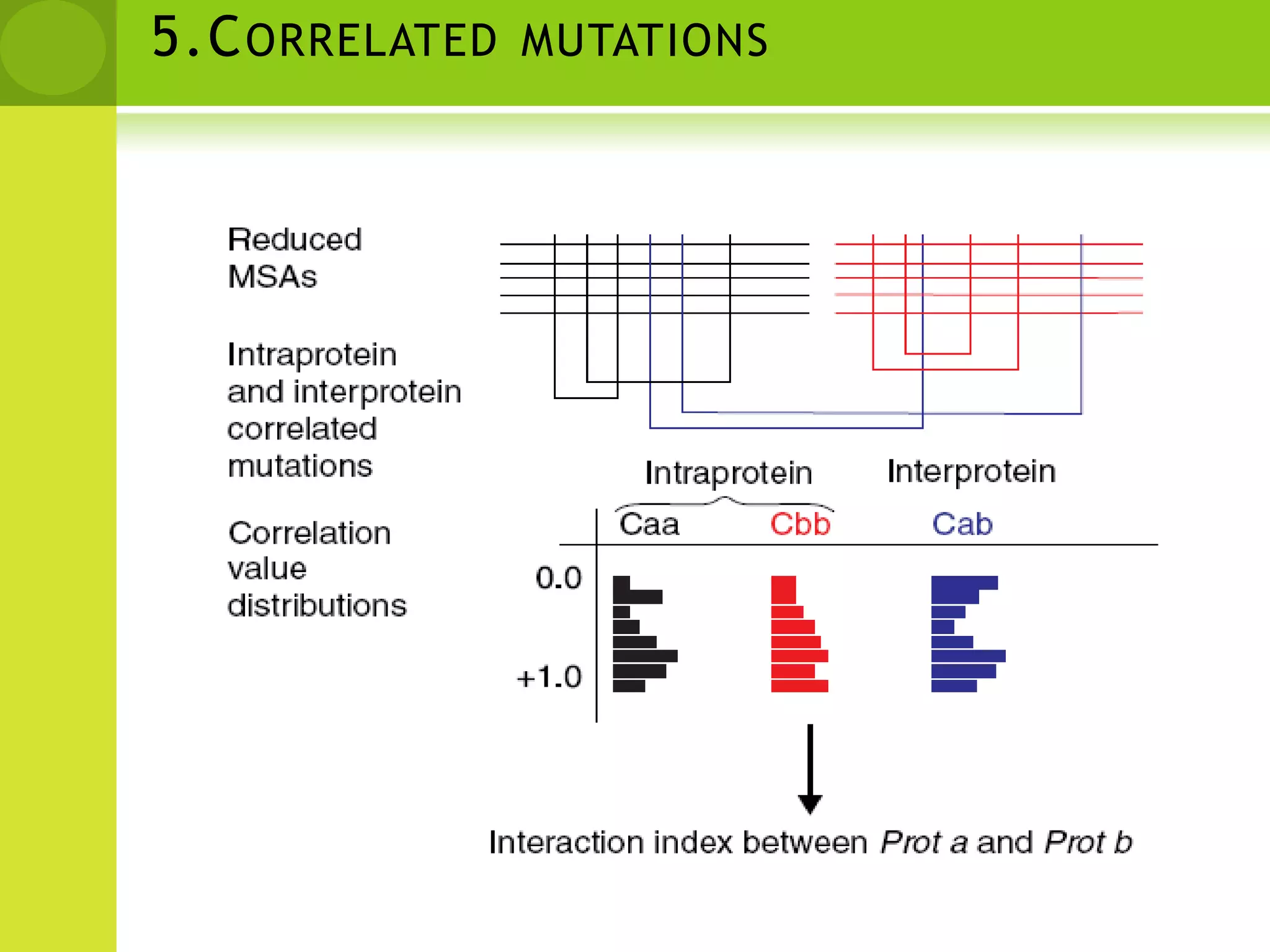 REDUCED MSA(4,5)To obtain a quantitative indicator of the interaction between two proteins (Prot a and Prot b), the MSAs of both proteins are reduced to the set of  organisms common to the two proteins (Org 1–Org 5). Each of the reduced alignments is used to construct the corresponding intersequence distance matrix.
