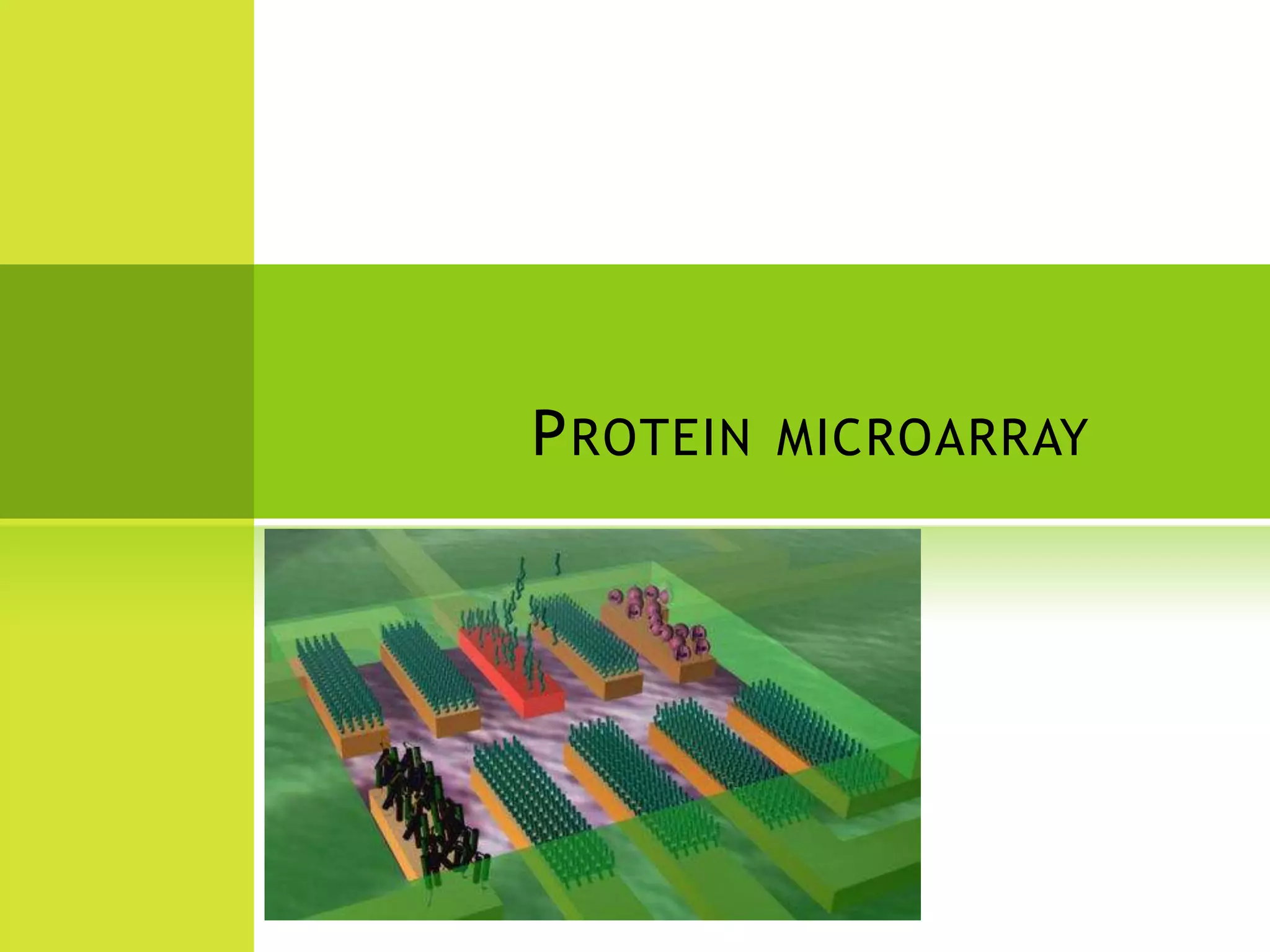 6. Classification methods/RDF methodFive different features/domains are used Each interacting protein pair is encoded as a string of 0, 1, and 2. The decision trees are constructed based on the training set of interacting protein pairs .Decisions are made if proteins under the question interact or not (‘‘yes’’ for interacting, ‘‘no’’ for non-interacting).