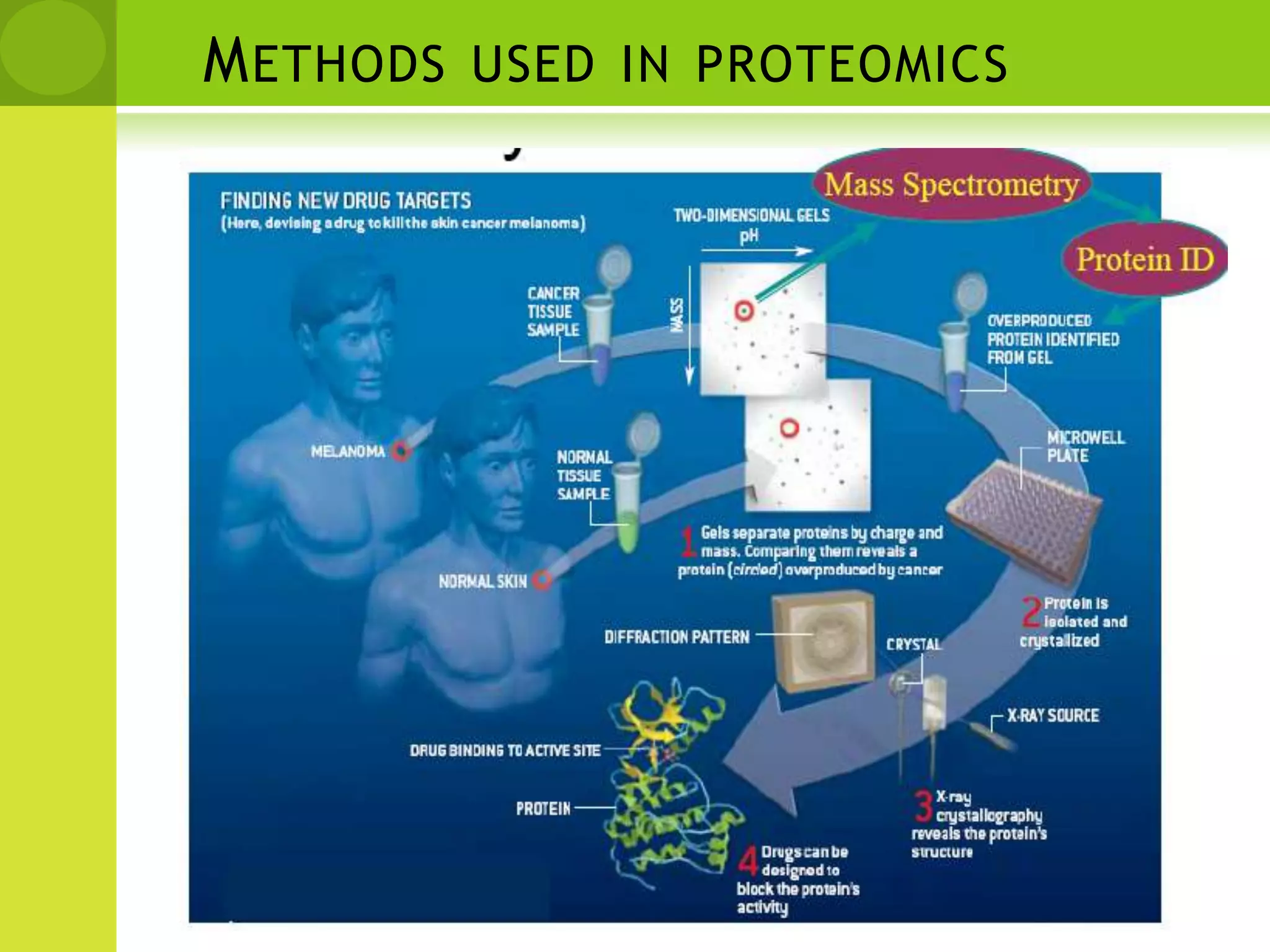 Methods used in proteomics