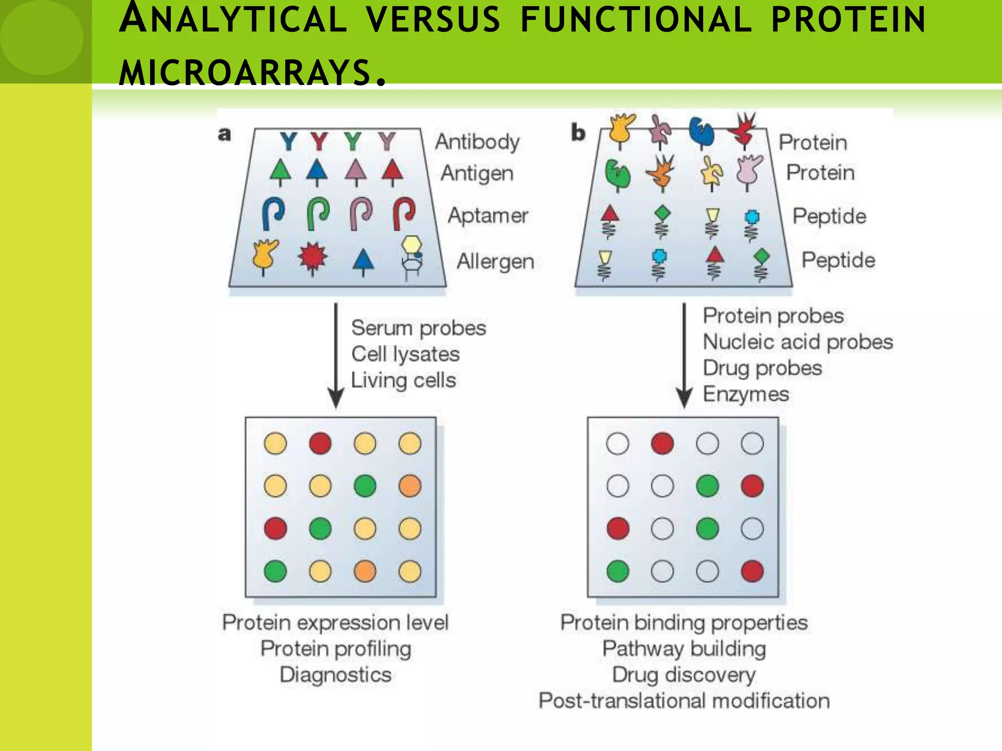 Analytical microarraysDifferent types of ligands, including antibodies, antigens, DNA or RNA aptamers, carbohydrates or small molecules, with high affinity and specificity, are spotted down onto a derivatized surface. Protein samples from two biological states to be compared are separately labelled with red or green fluorescent dyes, mixed, and incubated with the chips. Spots in red or green colour identify an excess of proteins from one state over the other.These types of microarrays can be used to monitor differential expression profiles and for clinical diagnostics. Examples include profiling responses to environmental stress and healthy versus disease tissues 