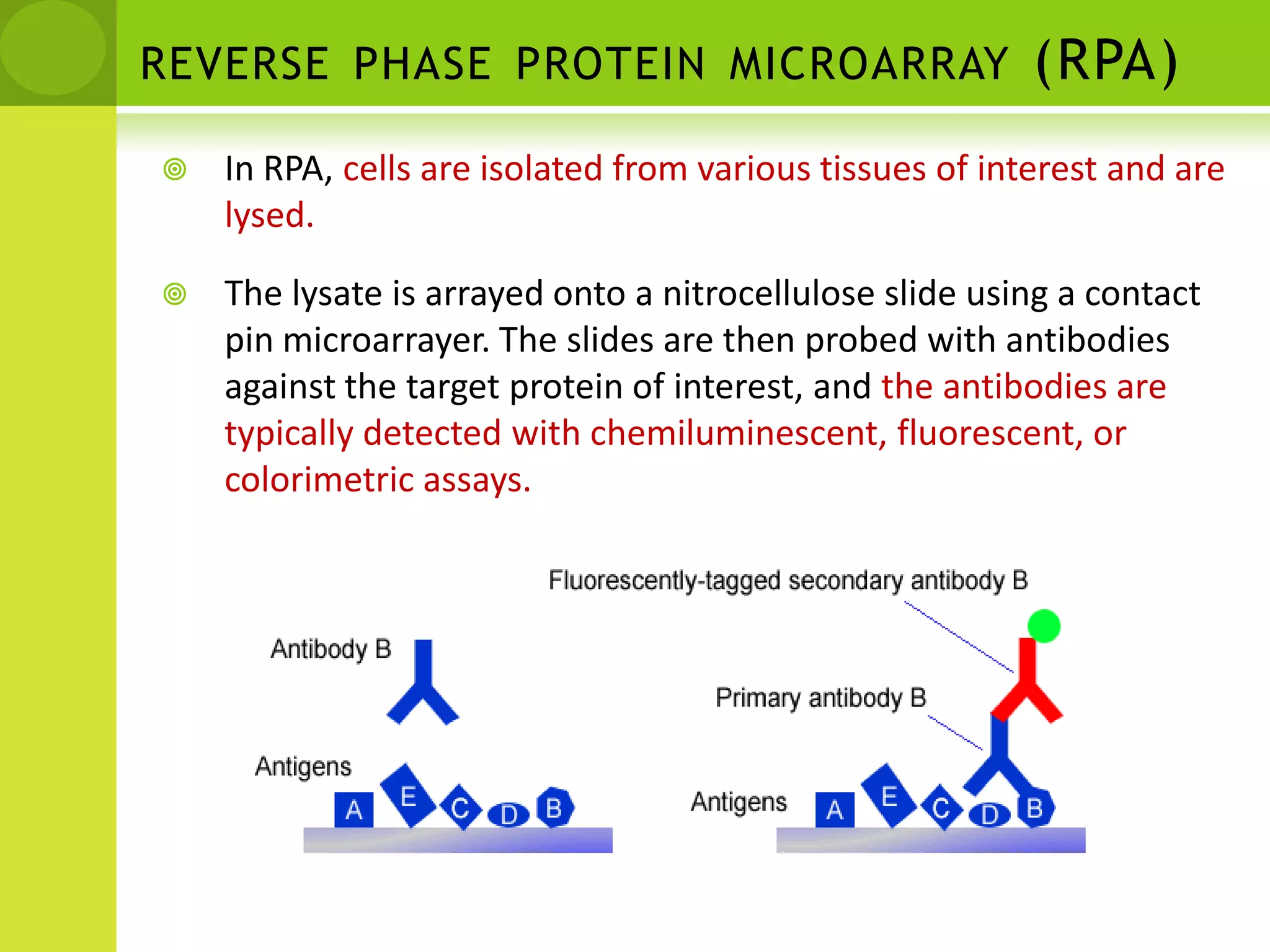Analytical versus functional protein microarrays.