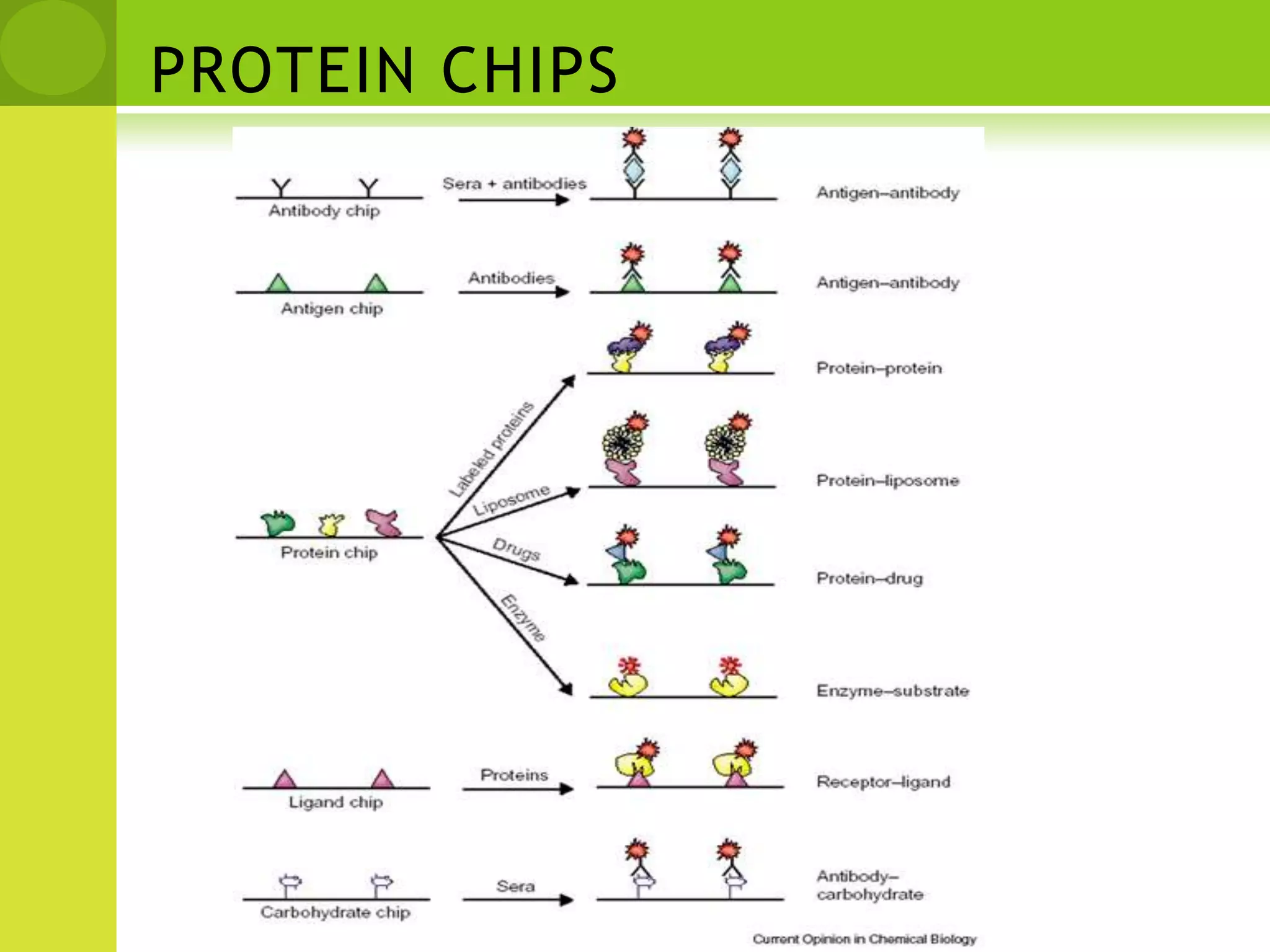 RPARPAs allow for the determination of the presence of altered proteins that may be the result of disease. Specifically, post-translational modifications, which are typically altered as a result of disease, can be detected using RPAs 