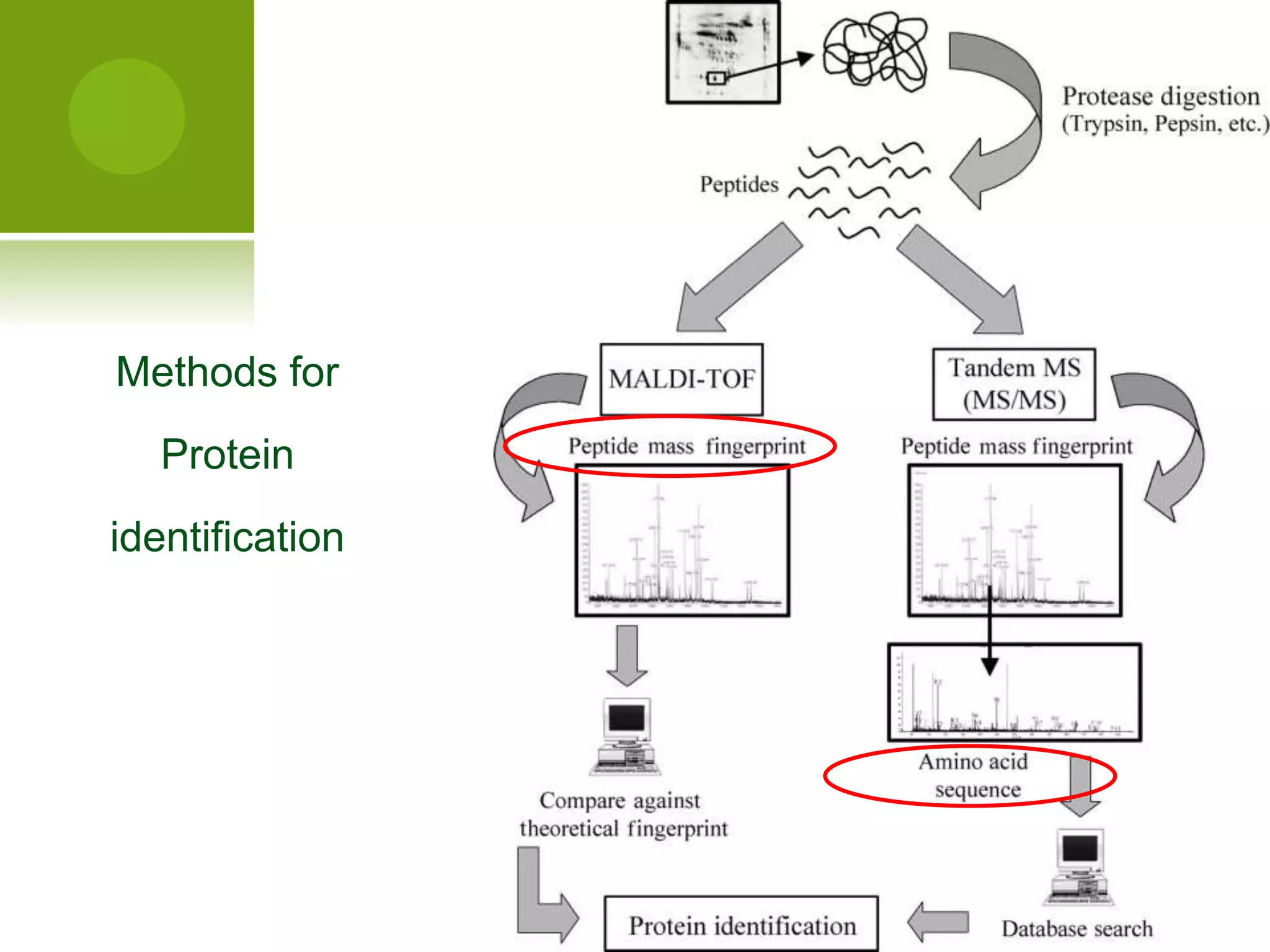 Methods forProteinidentification