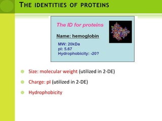 The identities of proteinsSize: molecular weight (utilized in 2-DE)Charge: pI (utilized in 2-DE)Hydrophobicity
