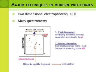 Major techniques in modern proteomics Two dimensional electrophoresis, 2-DE Mass spectrometry