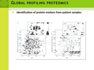 Global profiling proteomicsIdentification of protein markers from patient samples