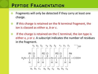 The types of fragment ions observed in an MS/MS spectrum depend on many factors including primary sequence, the amount of internal energy, how the energy was introduced, charge state, etc.Peptide FragmentationFragments will only be detected if they carry at least one charge. If this charge is retained on the N terminal fragment, the ion is classed as either a, b or c.If the charge is retained on the C terminal, the ion type is either x, y or z. A subscript indicates the number of residues in the fragment.