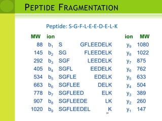 Peptide FragmentationPeptide: S-G-F-L-E-E-D-E-L-K24