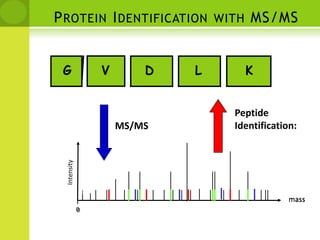 Prefix and Suffix Fragments.