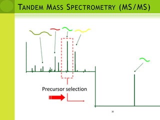 Mass spectrometry used to sequence short stretches of polypeptide