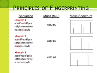Peptide mass fingerprinting (PMF)
