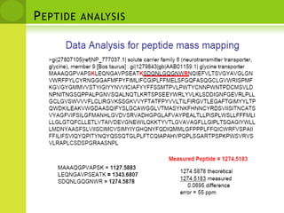 Mass spectrum mappingTop spectrum depicts a theoretical mass spectrum, as might be generated by a sequence search algorithm, matching an actual peptide MS/MS spectrum (bottom).