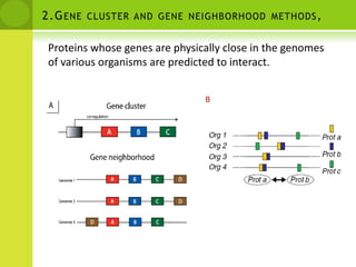 Genomic ContextPhylogenetic profilesConservation of gene neighborhoodGene FusionSimilarity of phylogenetic treesCorrelated mutations