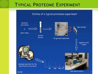 Typical Proteome Experiment