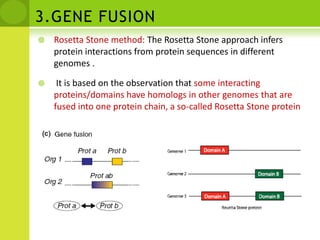 1.Phylogenetic ProfileBased on the pattern of the presence or absence of a given gene in a set of genomesA profile is constructed for each protein (Prot a–Prot d), recording its presence (1) or absence (0) in a set of organismsPairs of proteins with identical (or similar) phylogenetic profiles are predicted to interact (Prot a and Prot c in this case)