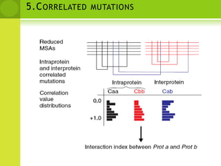 REDUCED MSA(4,5)To obtain a quantitative indicator of the interaction between two proteins (Prot a and Prot b), the MSAs of both proteins are reduced to the set of  organisms common to the two proteins (Org 1–Org 5). Each of the reduced alignments is used to construct the corresponding intersequence distance matrix.